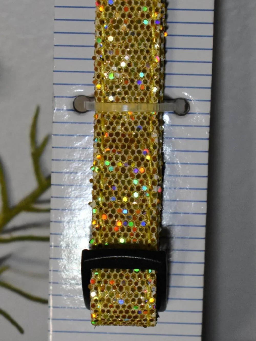 Sparkly Gold Glam Pet Dog Collar